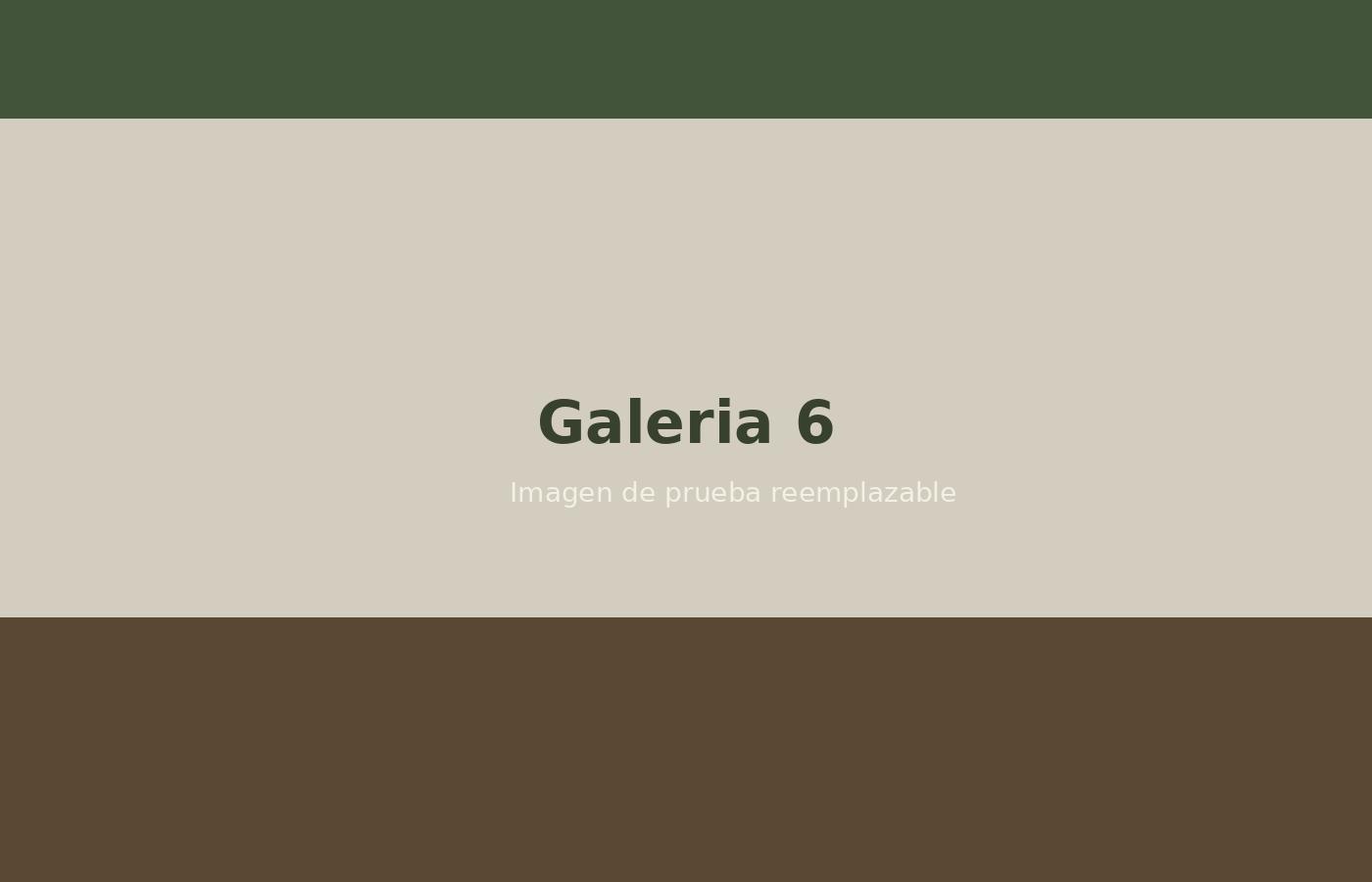 Galería 6